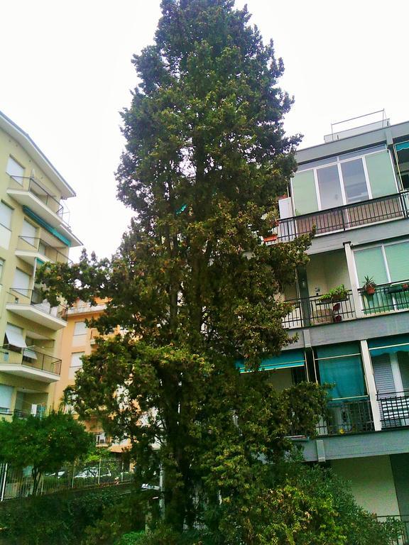 Il Centrale Rapallo Dış mekan fotoğraf